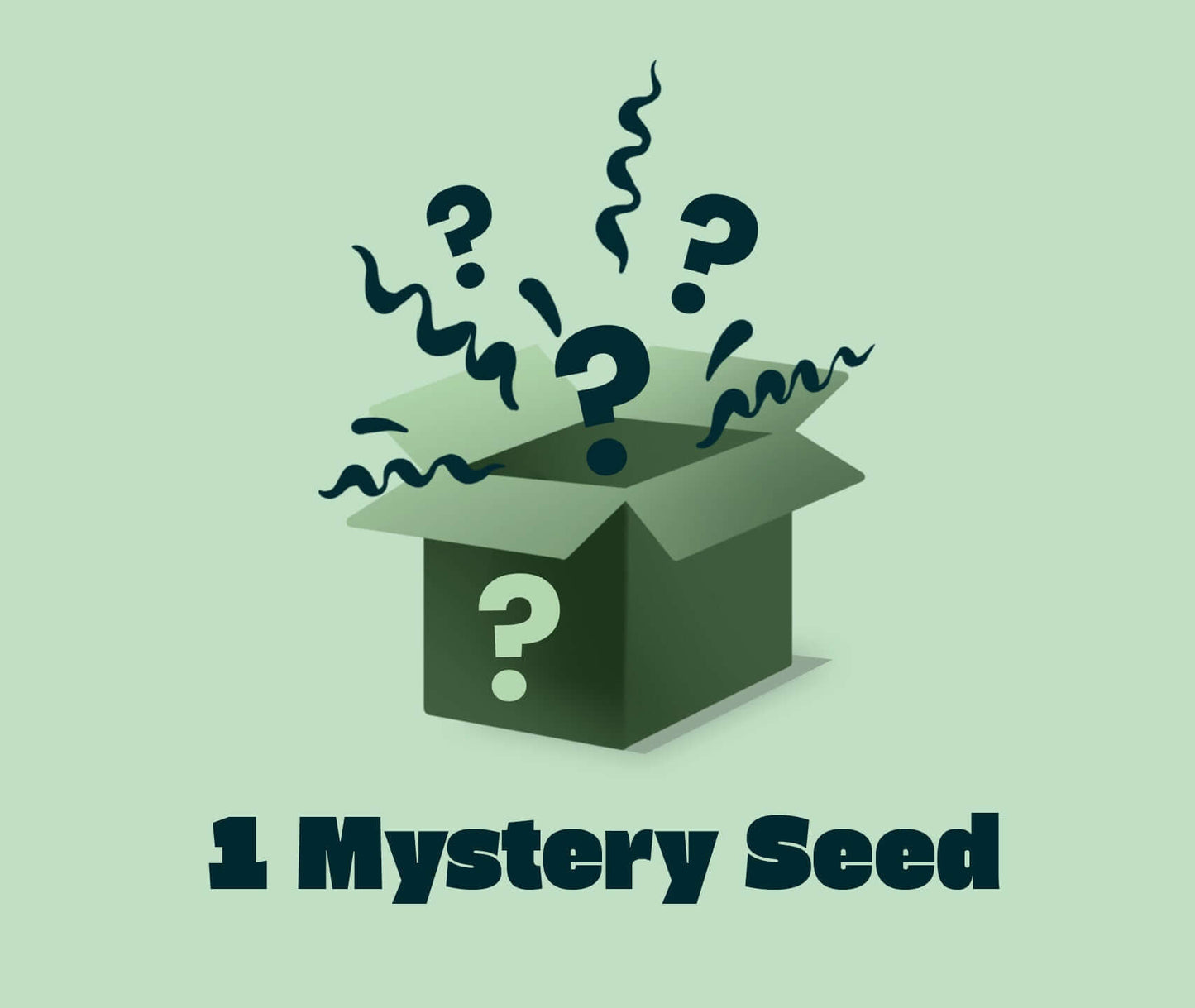 Mystery Seeds