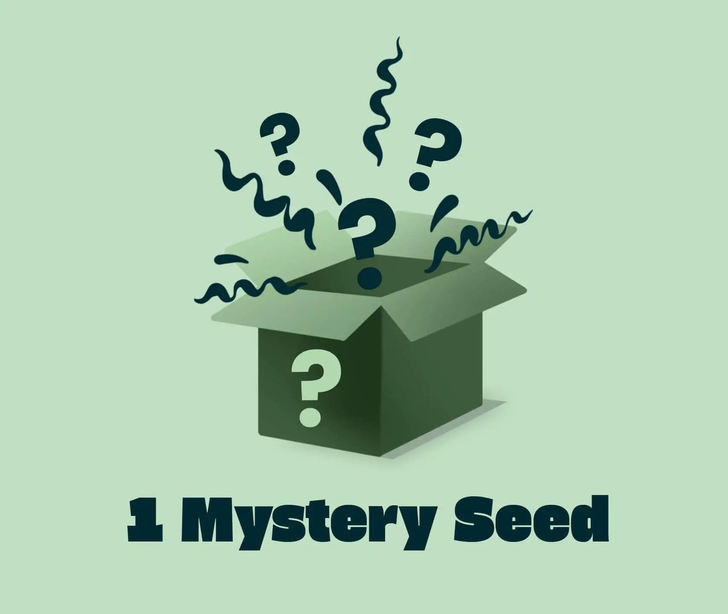 1 Mystery Seed Seed Supplier GmbH