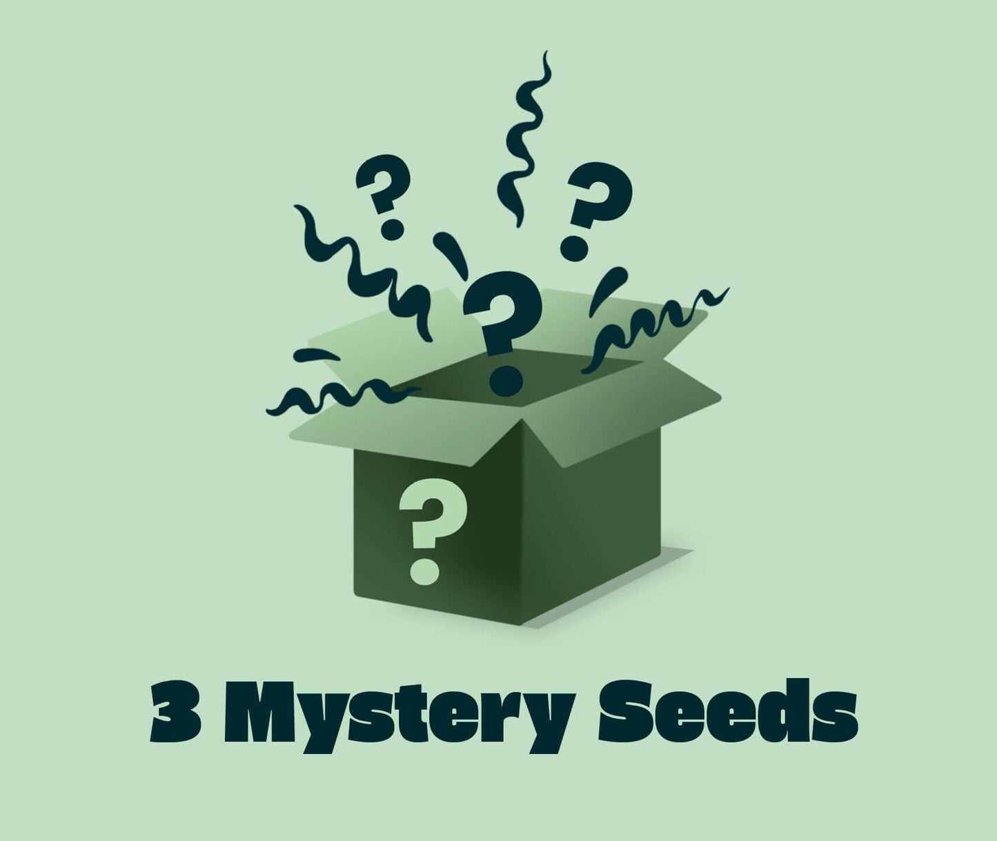 Mystery Seeds