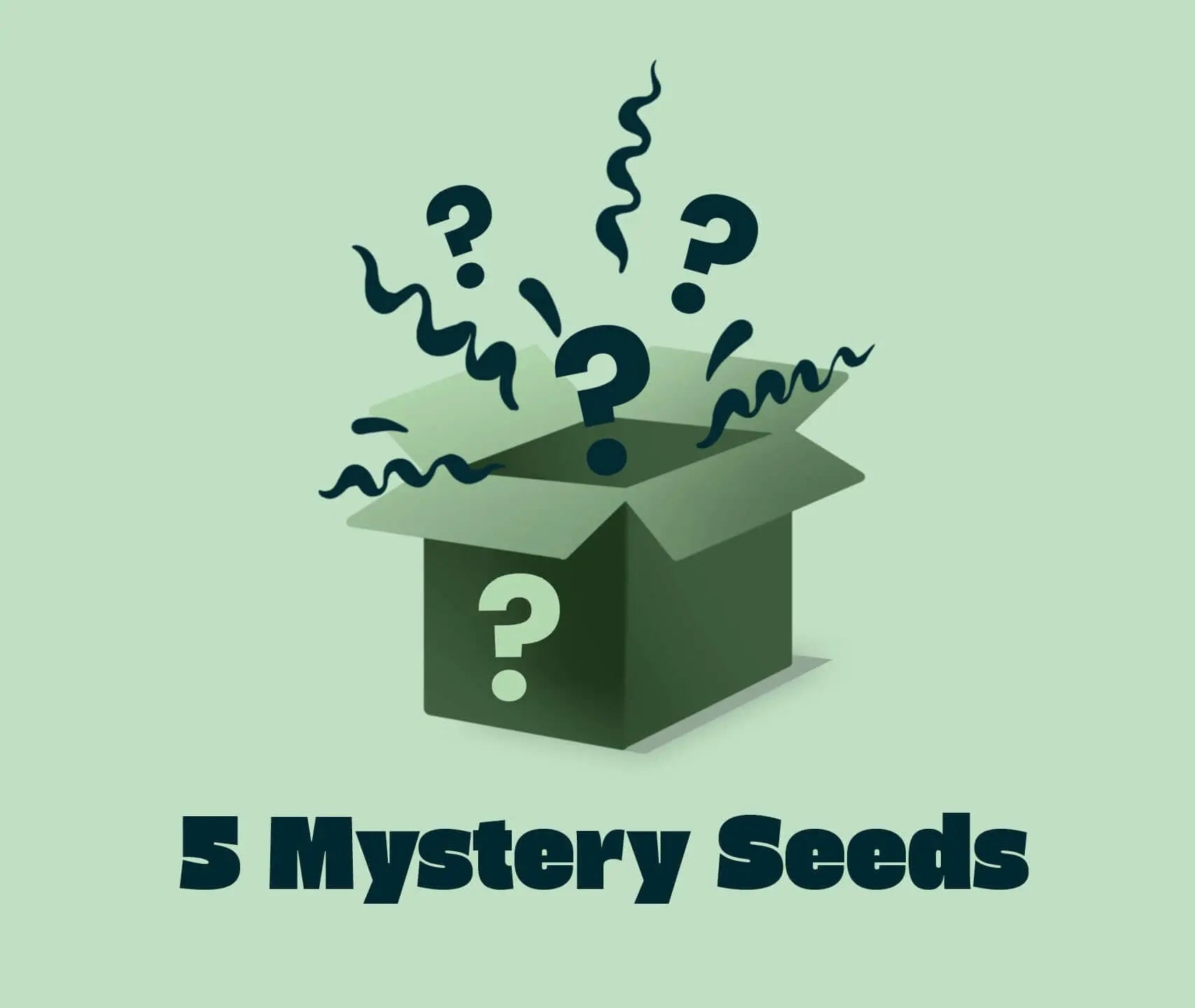 5 Mystery Seeds Seed Supplier GmbH