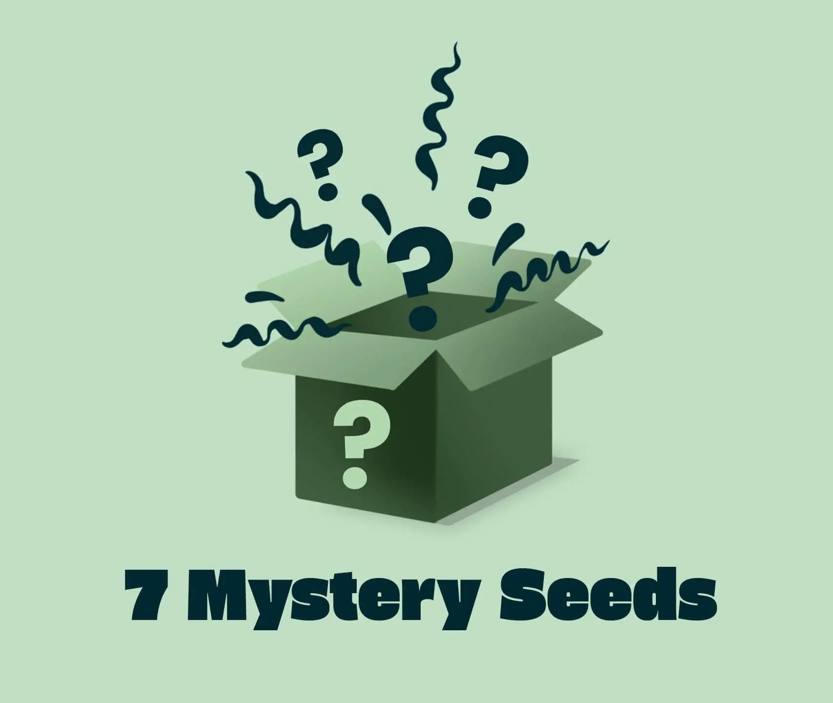 7 Mystery Seeds Seed Supplier GmbH