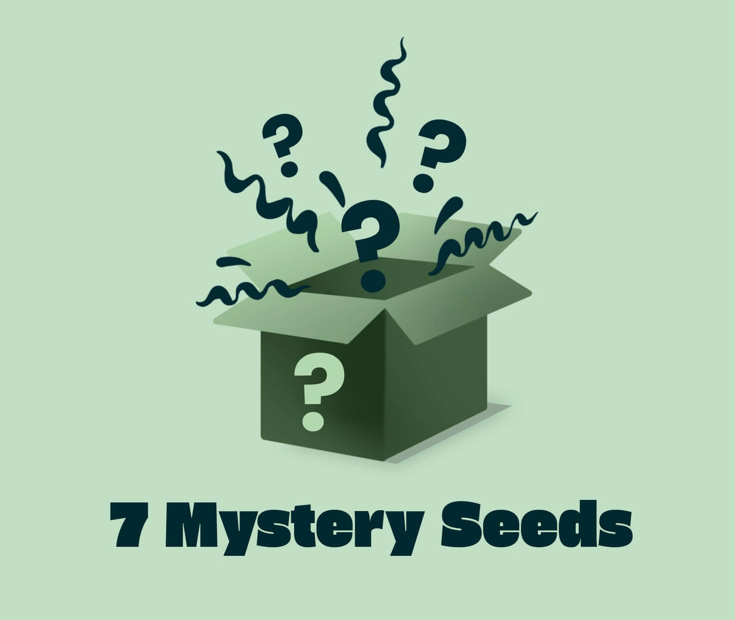 Mystery Seeds