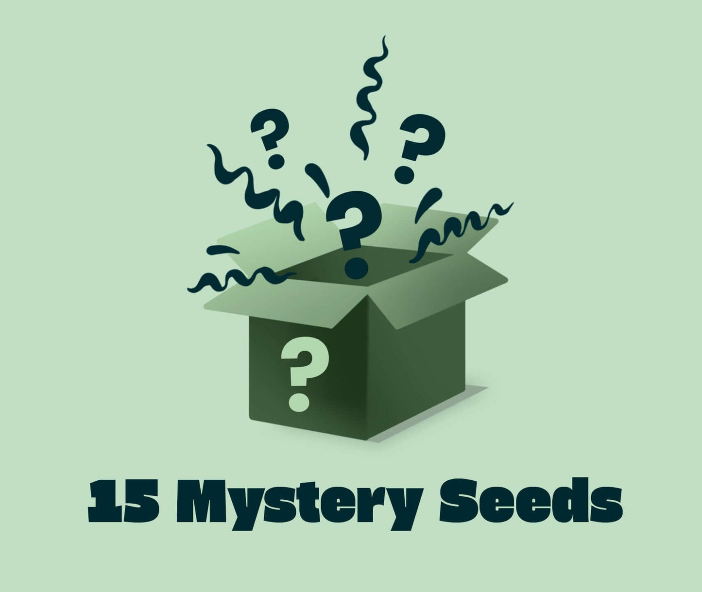 Mystery Seeds