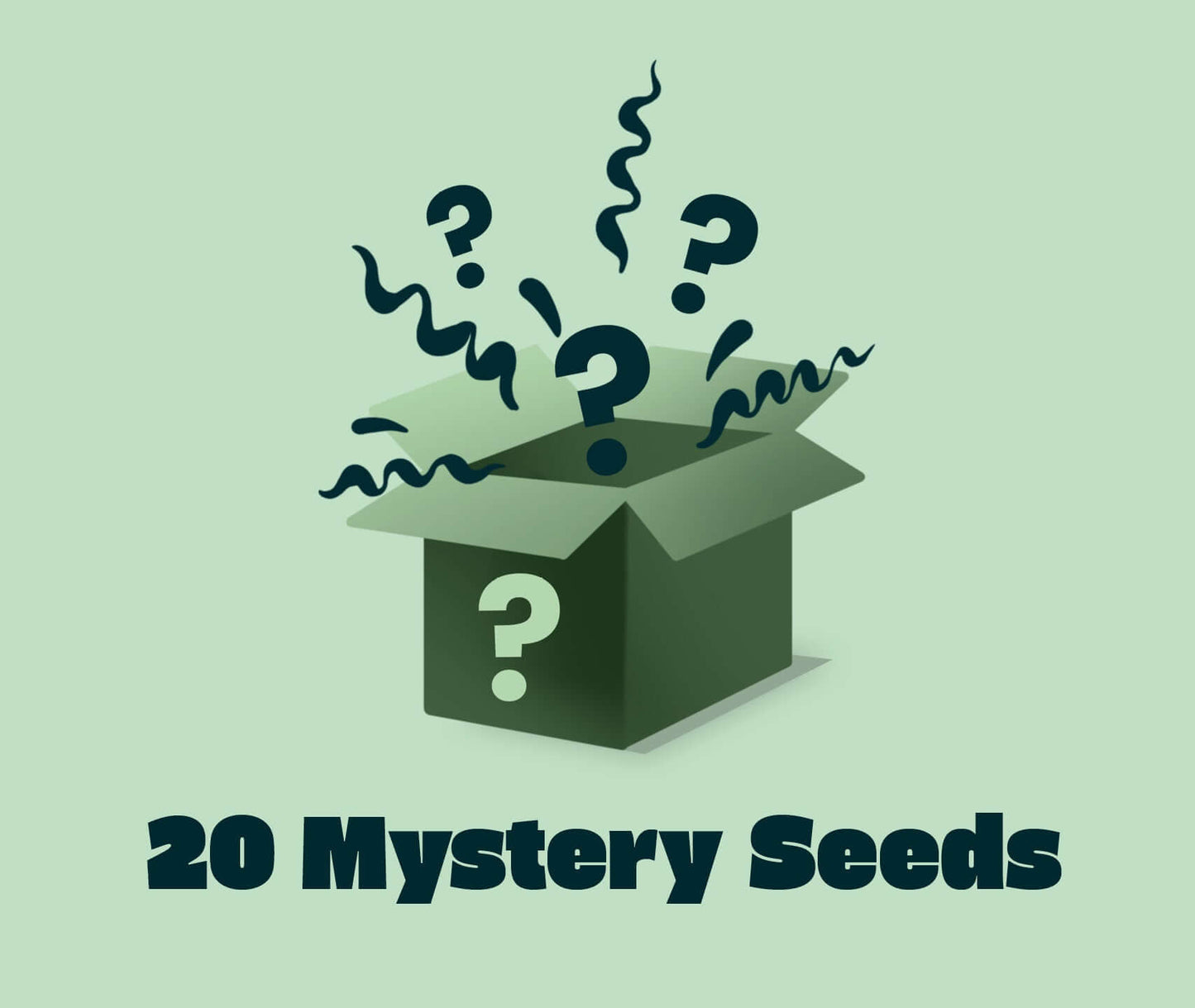 Mystery Seeds