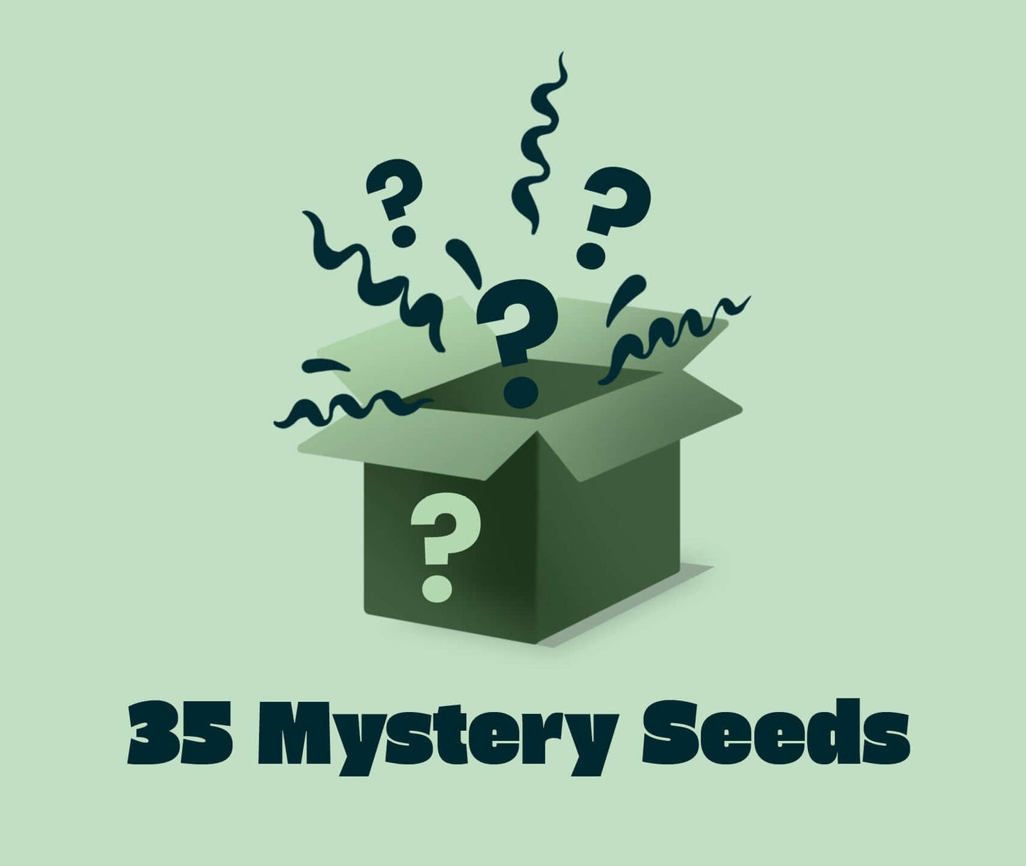 Mystery Seeds