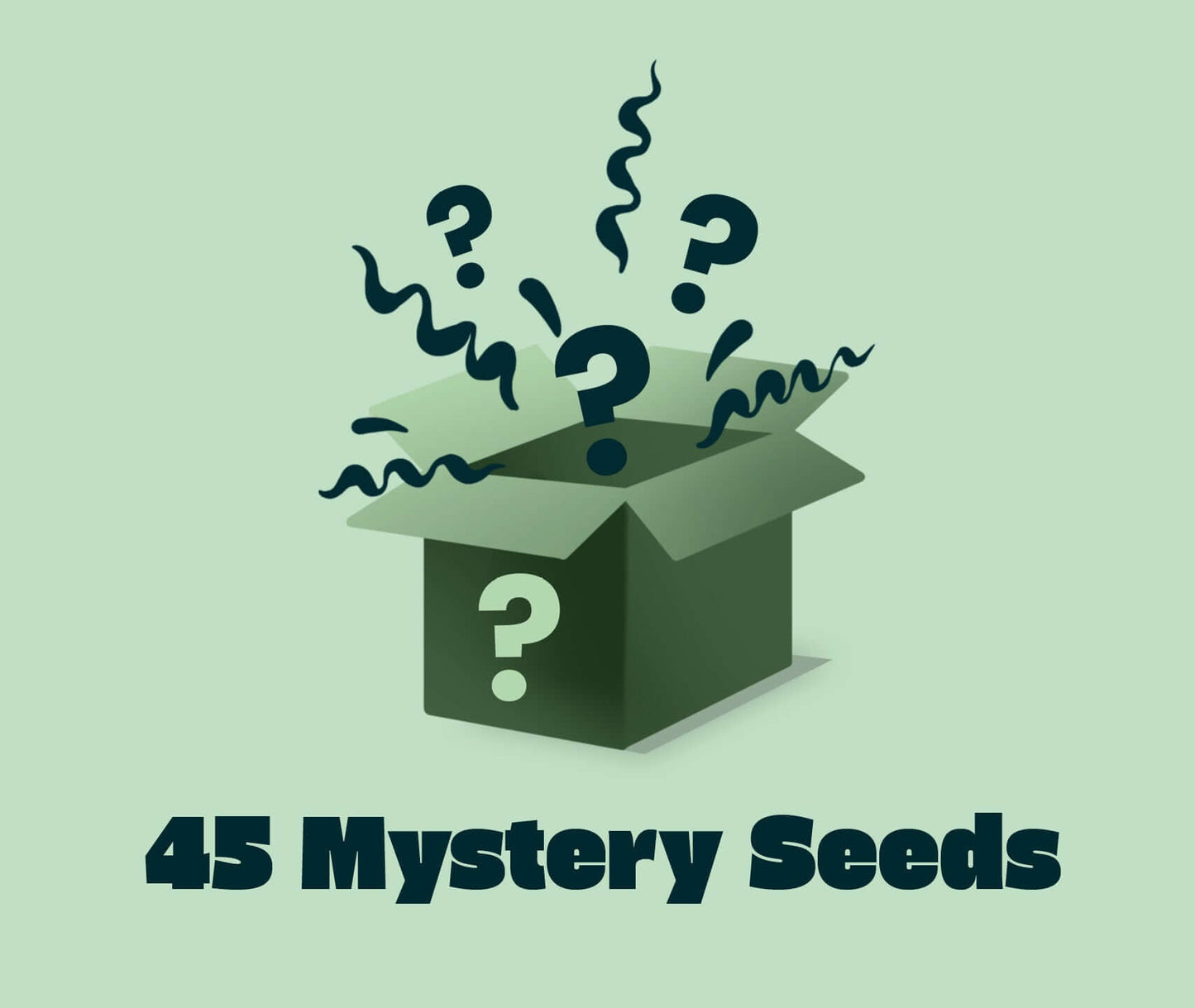 Mystery Seeds