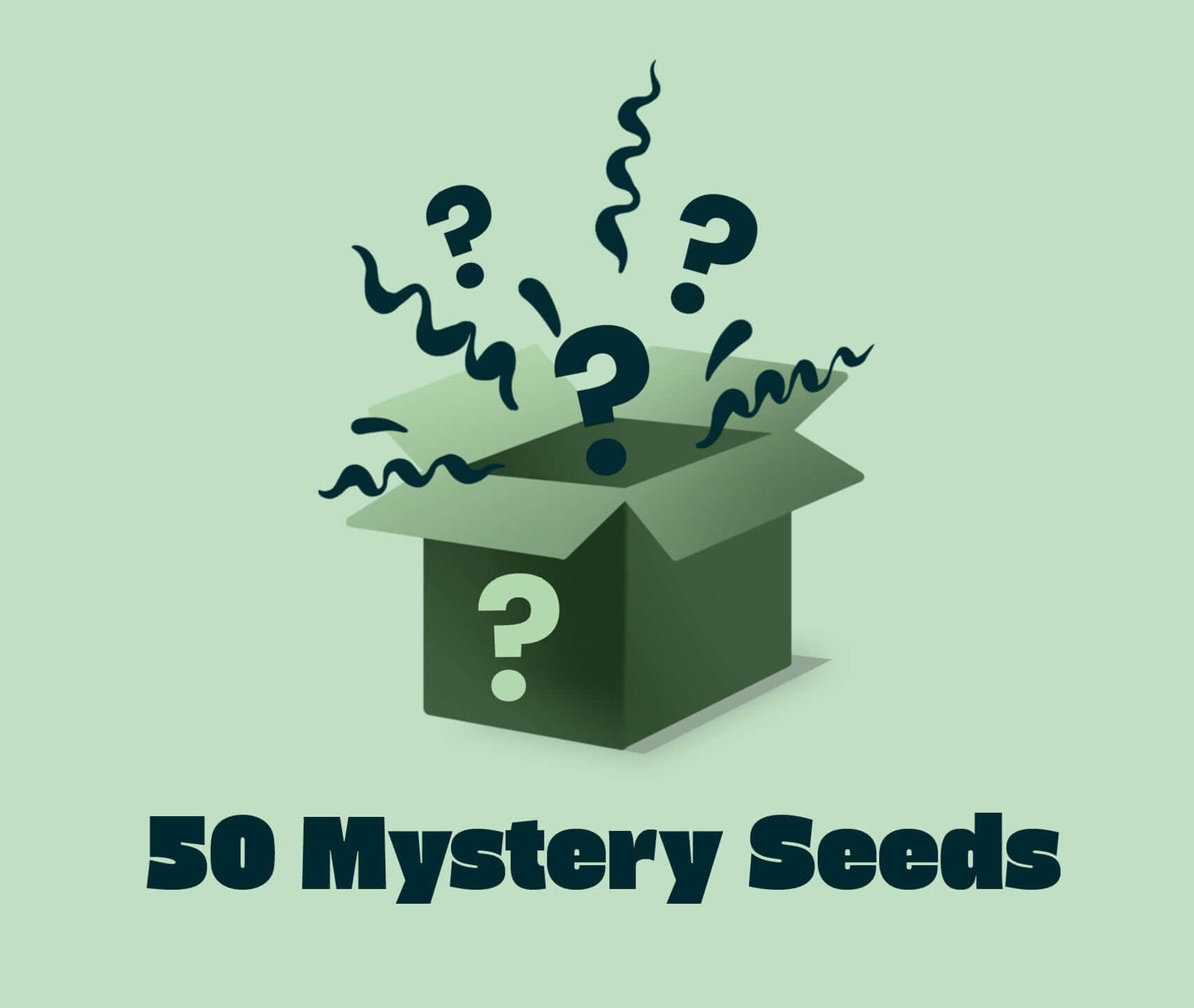 Mystery Seeds