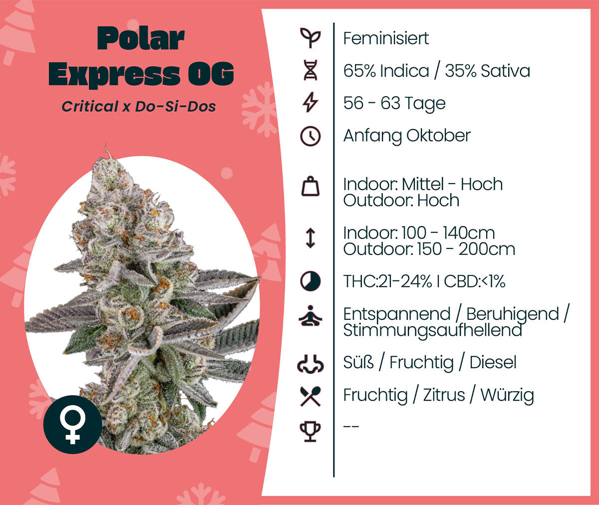 Polar Express OG