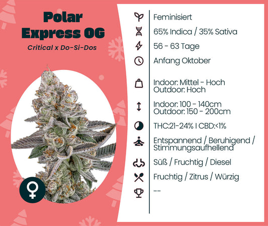 Polar Express OG