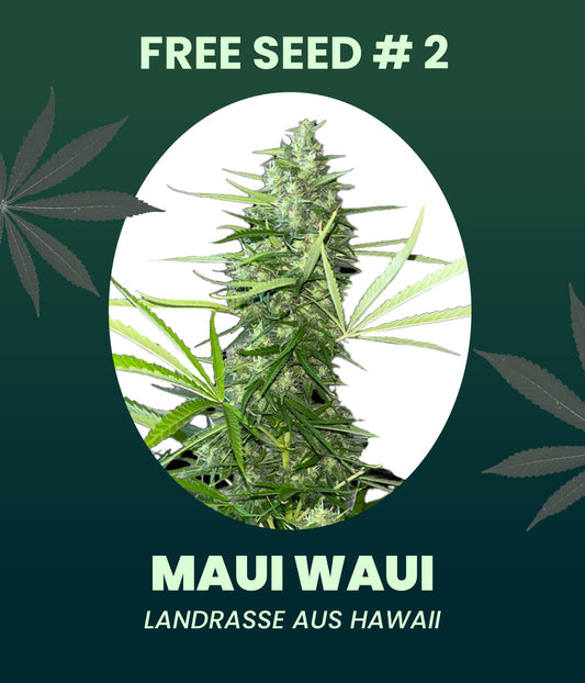 Gratis Samen - Maui Waui