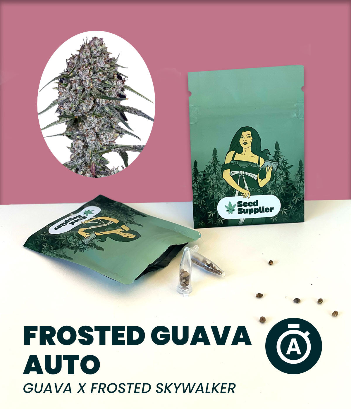 Gratis Samen - Frosted Guava Automatic