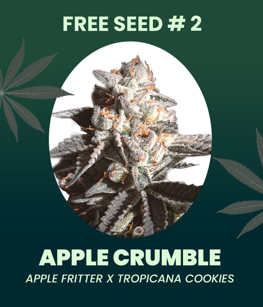 Gratis Samen - Apple Crumble
