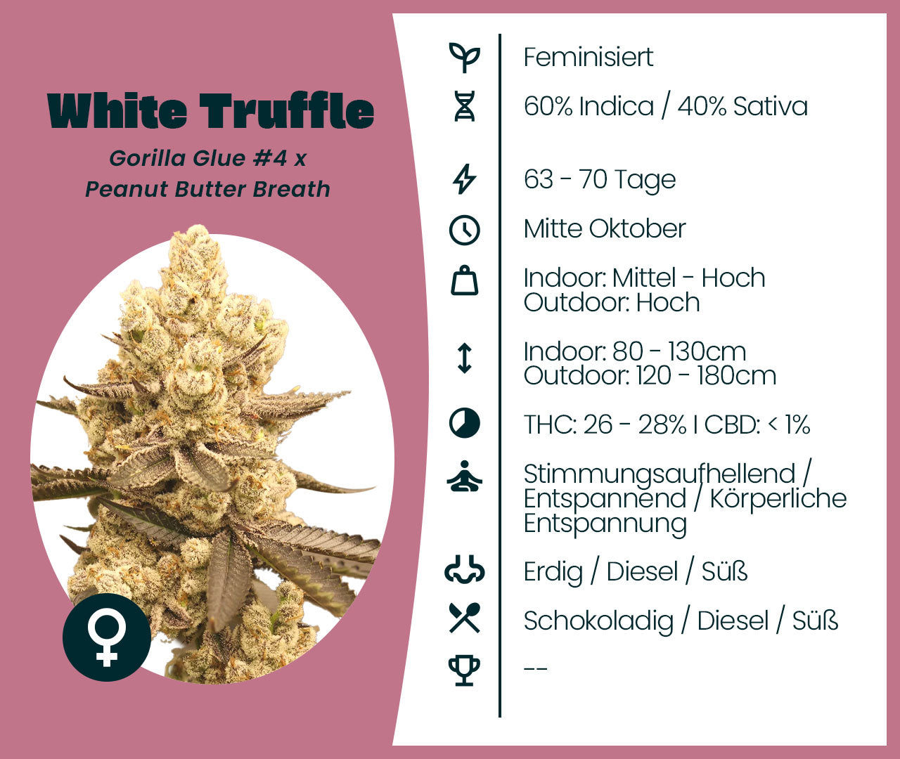 Gratis Samen - White Truffle