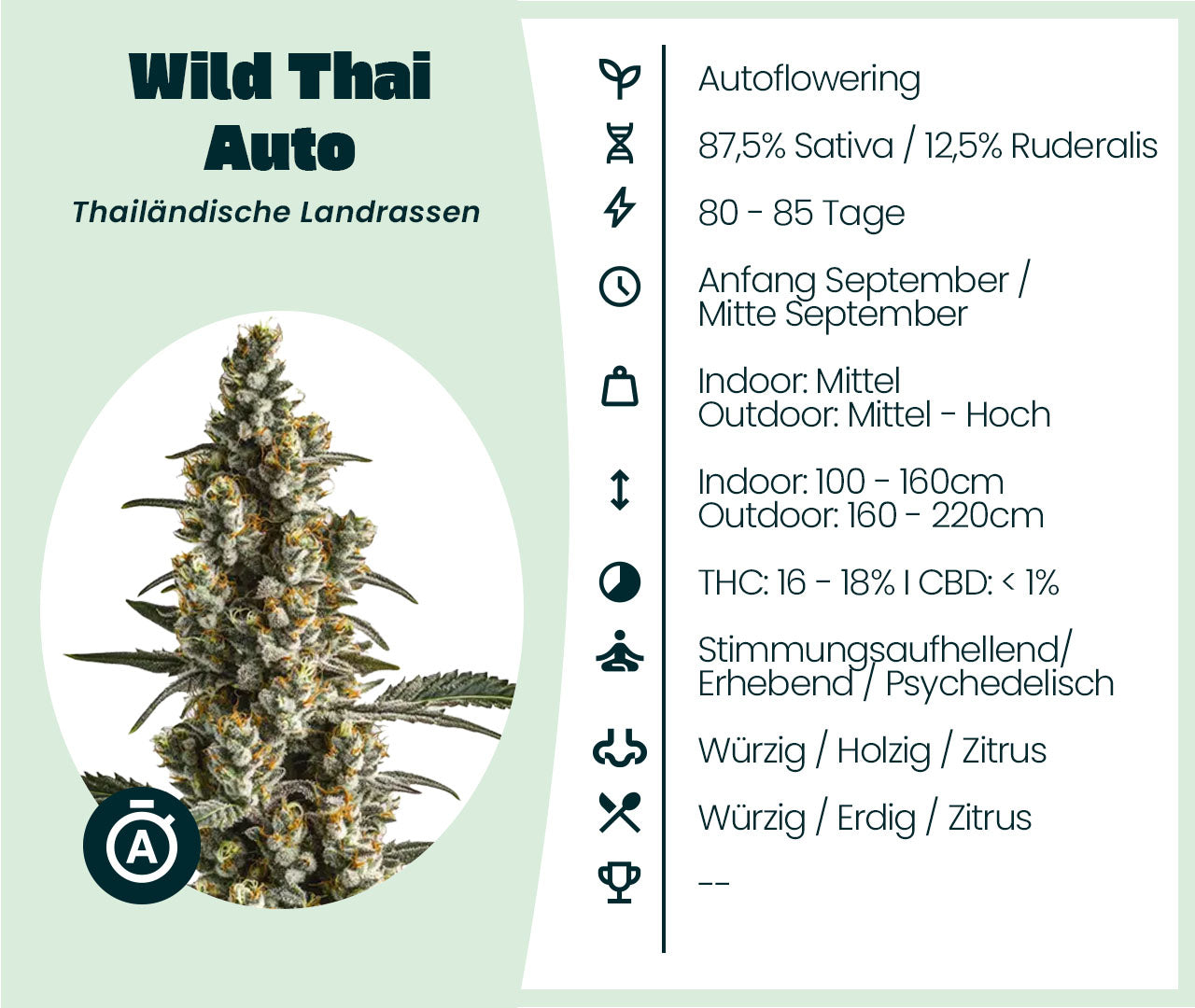 Gratis Samen - Wild Thai Automatic