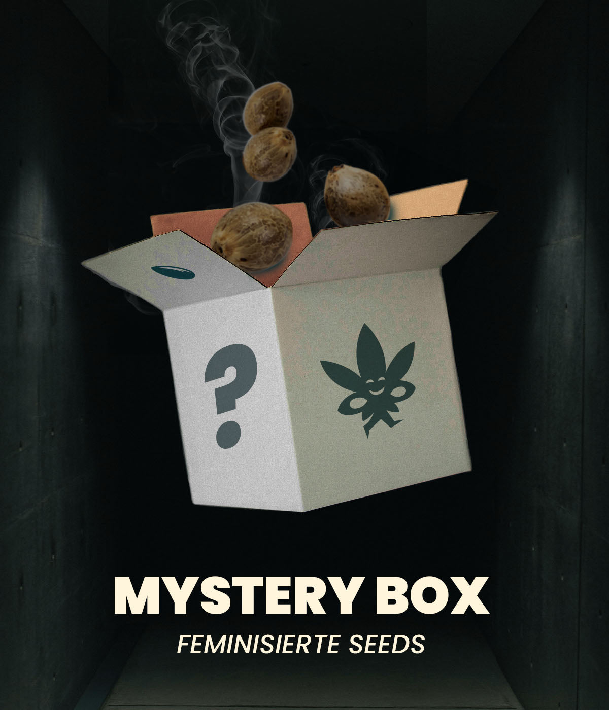 Mystery Box - Feminisierte Samen