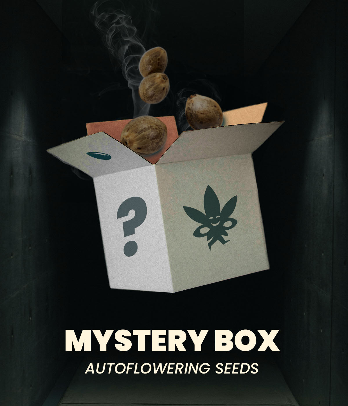 Mystery Box - Autoflowering Samen
