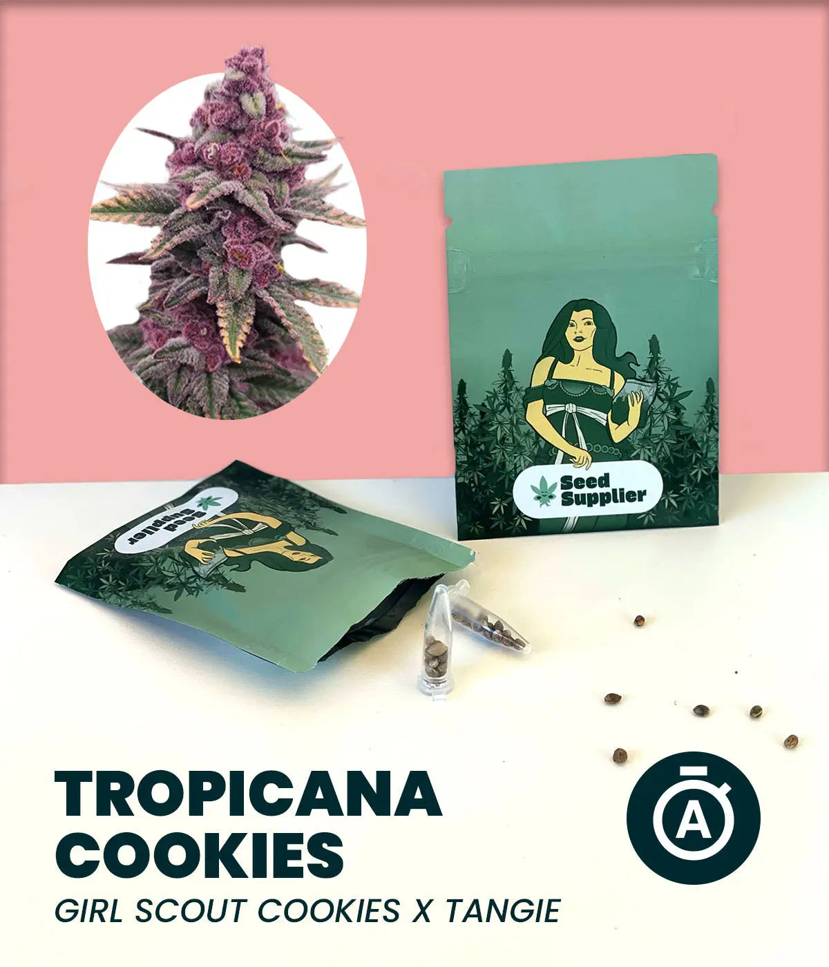 Tropicana Cookies Automatic Seed Supplier