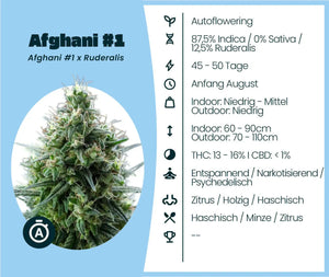 Afghani #1 Automatic