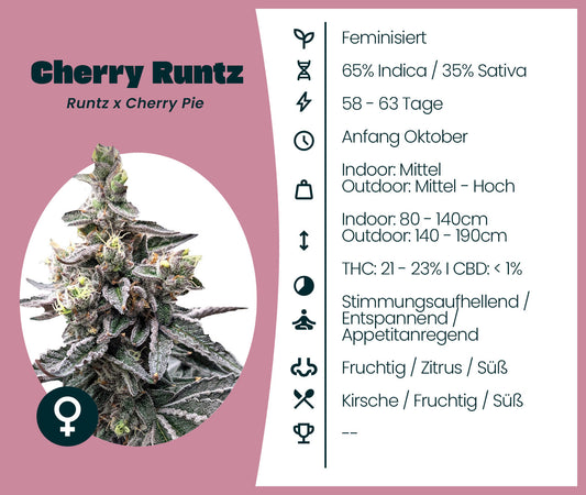 Cherry Runtz