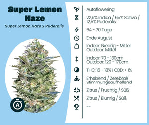 Super Lemon Haze Automatic