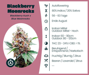 Blackberry Moonrocks Automatic
