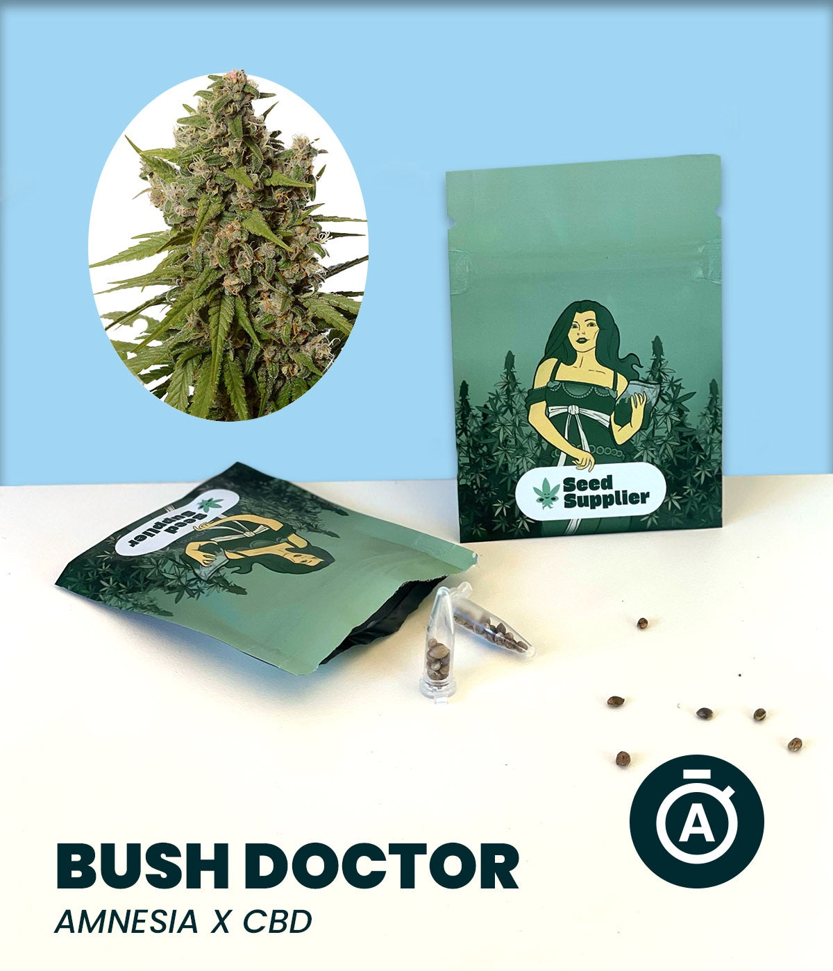 Bush Doctor Automatic feminisierte Autoflower Cannabissamen Karteikarte mit Strain-Daten