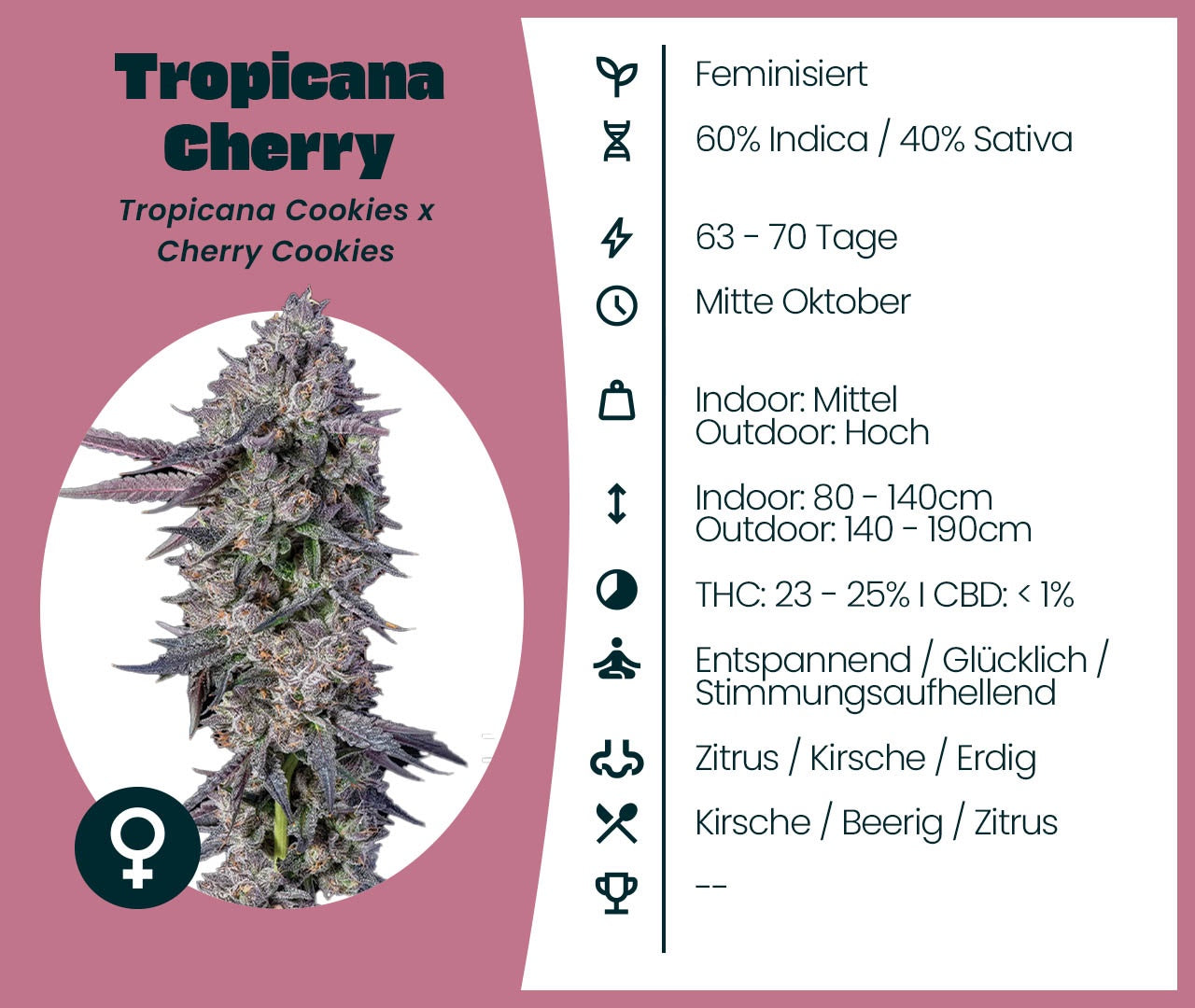 Tropicana Cherry