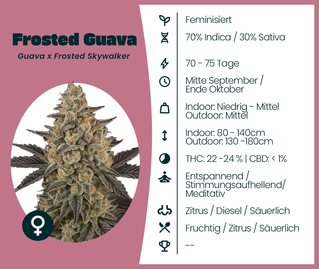 Frosted Guava