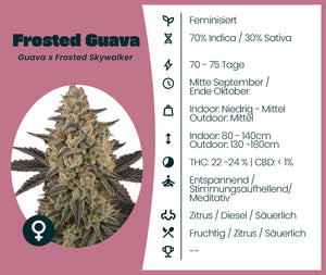 Frosted Guava