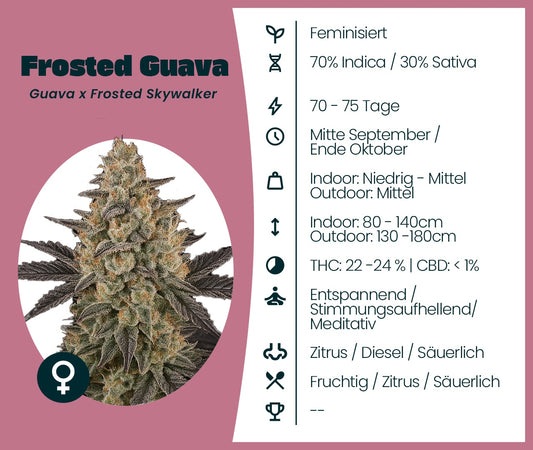 Frosted Guava