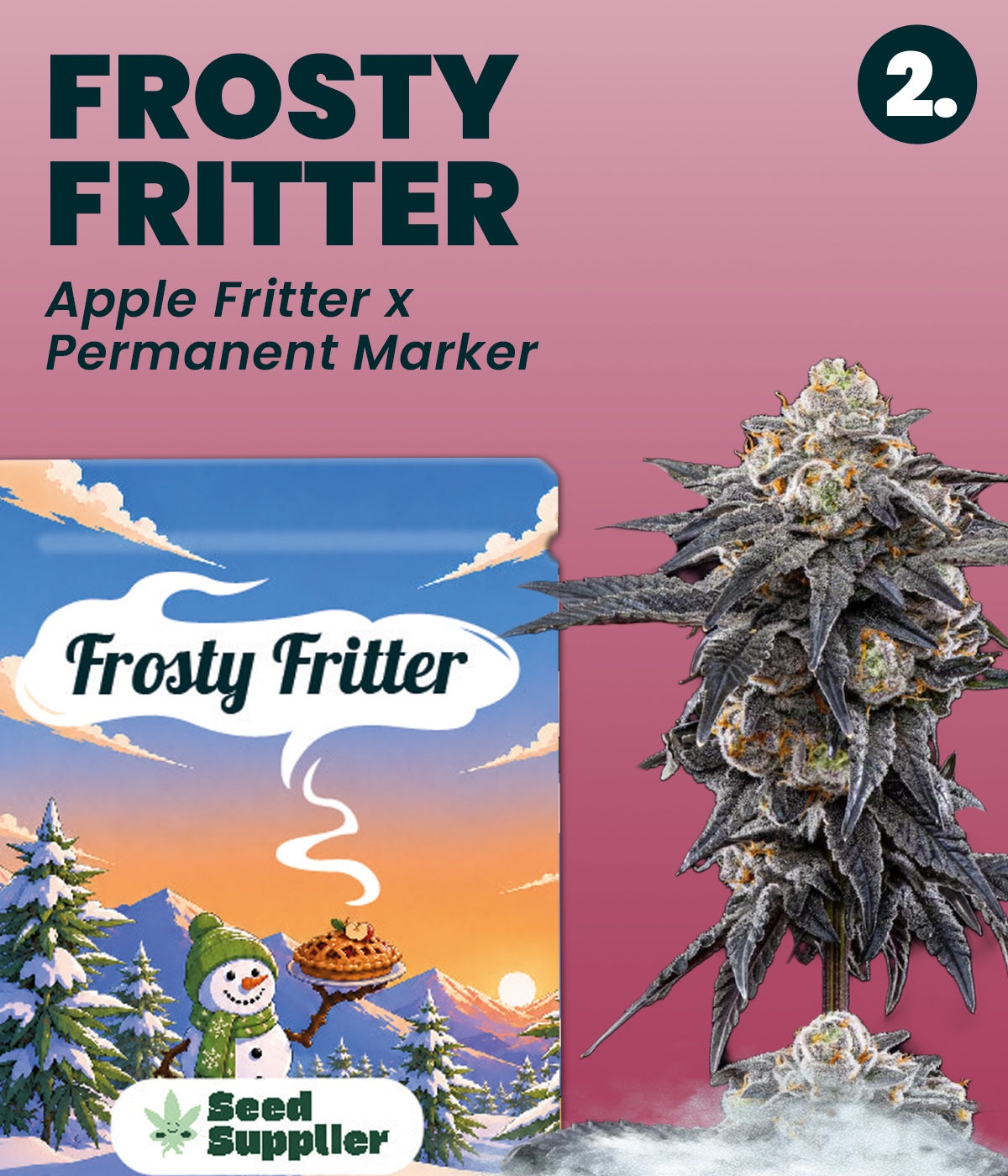 Gratis Cannabis Samen - Frosty Fritter