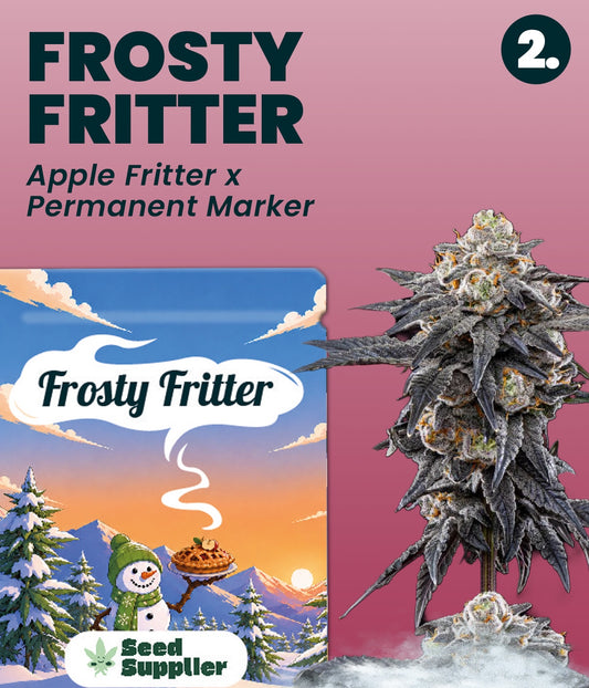 Gratis Cannabis Samen - Frosty Fritter