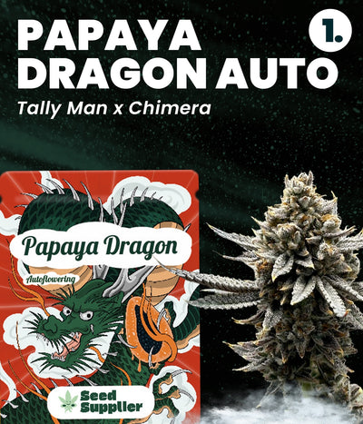 Gratis Cannabis Samen - Papaya Dragon Auto