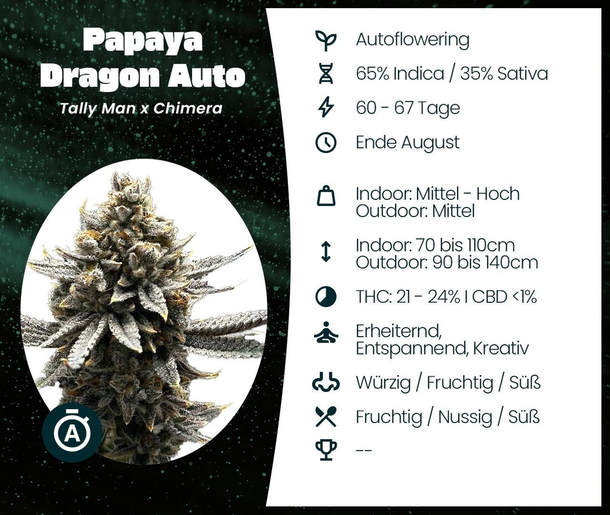 Papaya Dragon Auto Infokarte mit Blüte, Genetik, Blütezeit, Wuchshöhe, THC-Gehalt und Geschmacksprofil
