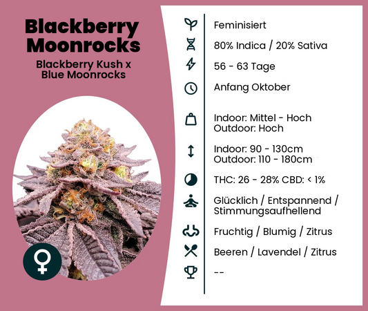 Blackberry Moonrocks