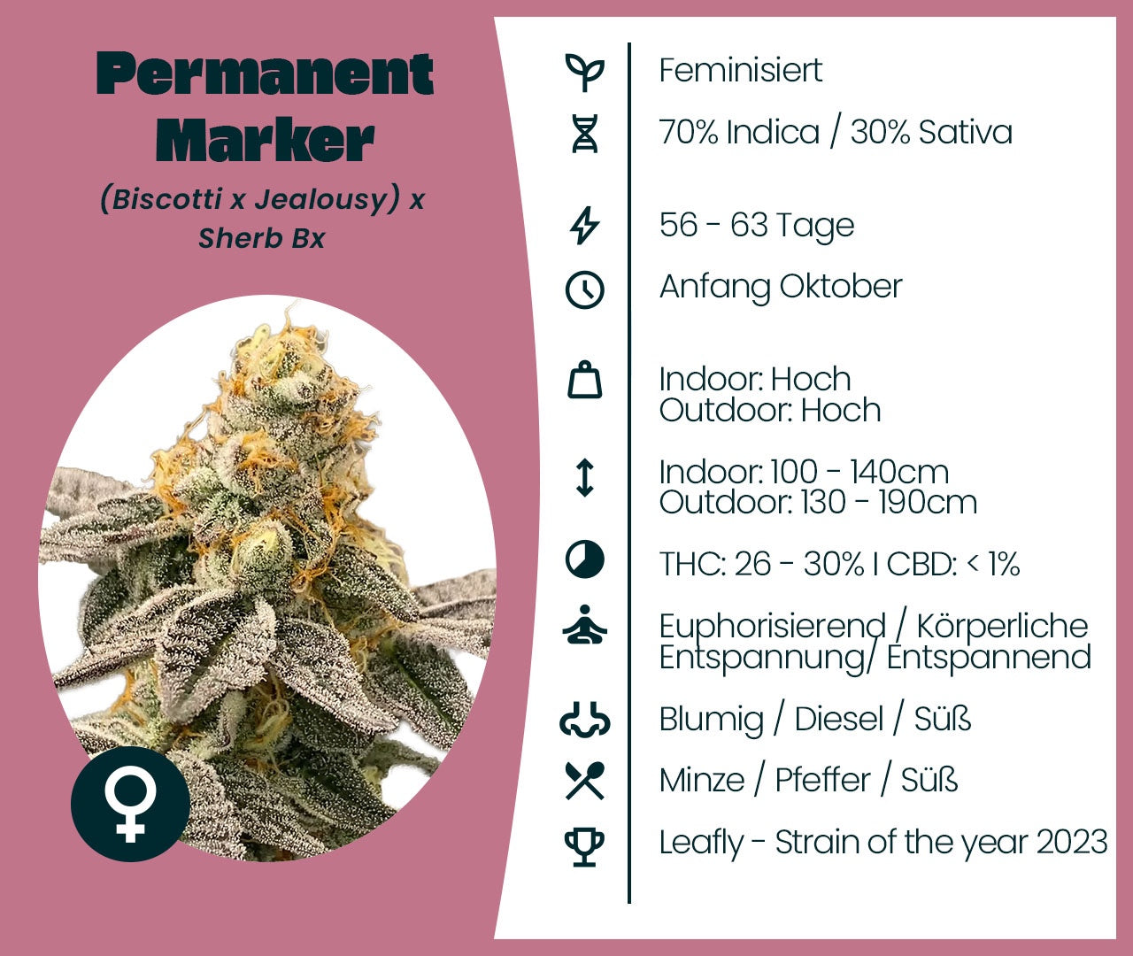 Permanent Marker Strain Infos